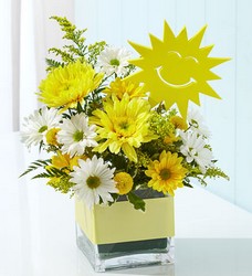 It's Your Sunny Day Davis Floral Clayton Indiana from Davis Floral